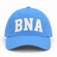 BNA - Nashville, TN Hat