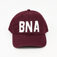 BNA - Nashville, TN Hat